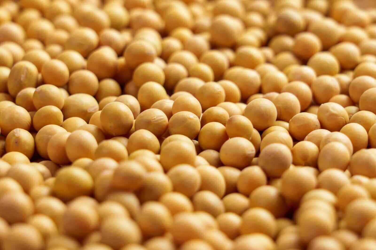 Soybeans
